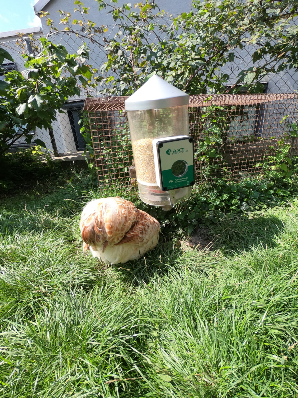 Der reparierte Futterautomat