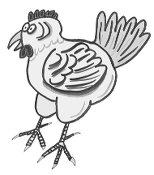 FengShui-Huhn