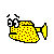 Kofferfisch